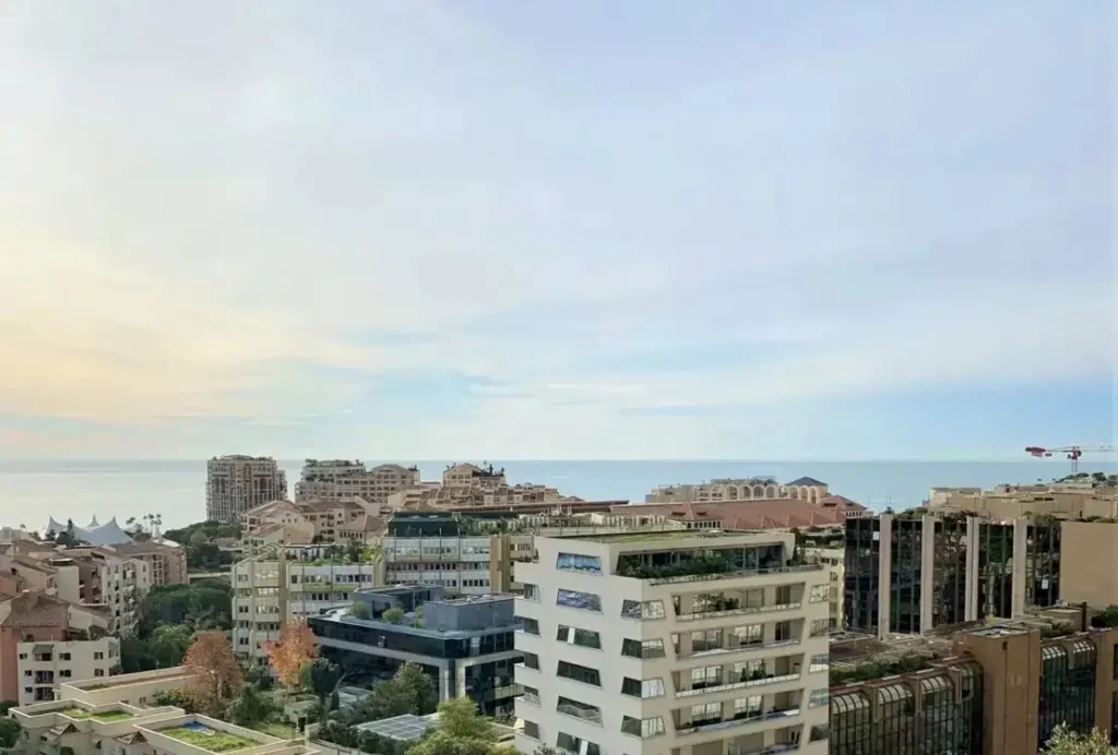 An apartment for sale in Monaco under law 1.291